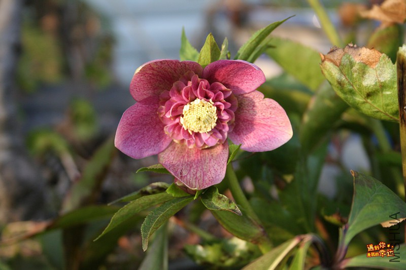 ��Ƭ 015_����.jpg