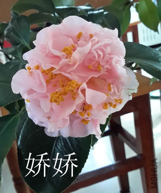 20160221_091437_����.jpg