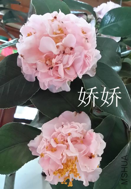 20160221_091516_����.jpg