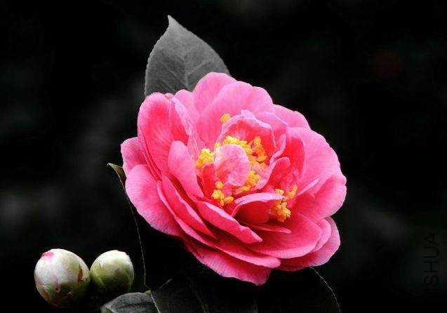 210511awnoc0zw2ndv7vvf.jpg