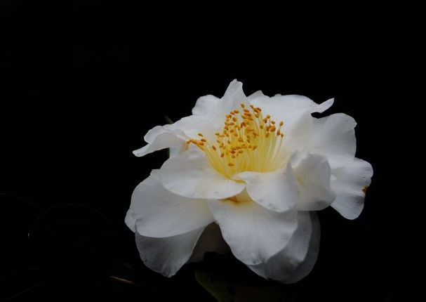 210511r35o24492449osos.jpg