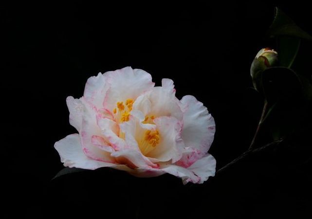 210513ftbedexw435ser4w.jpg