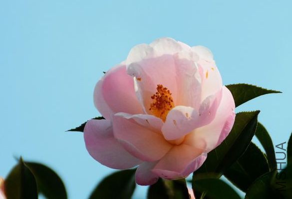 210519usybjgbhpnc0mgpg.jpg