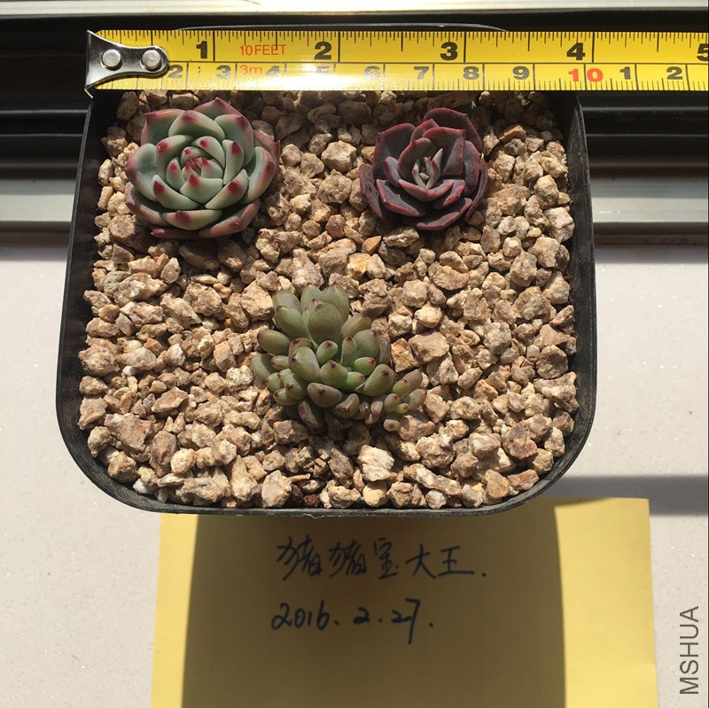 E419370784DD087400BD257C44839A21_����.jpg