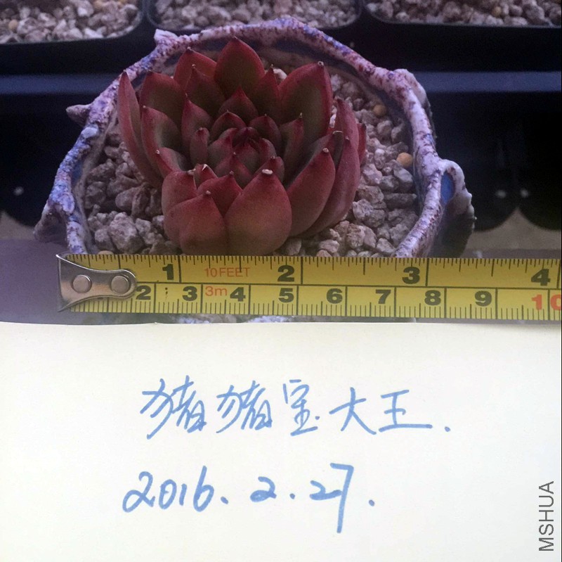 48A21C8842724781E8AEB440B7E802D4_����.jpg