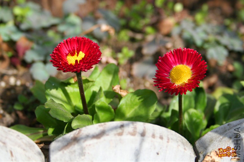 ��Ƭ 034_����.jpg