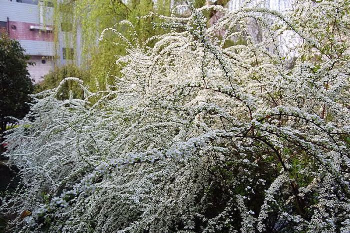 DSC_00310031.JPG