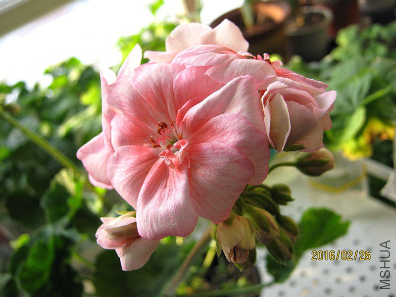 ��������