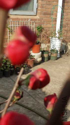 20160227_153655.jpg