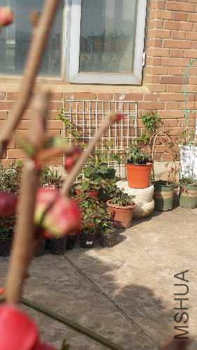 20160227_153658.jpg