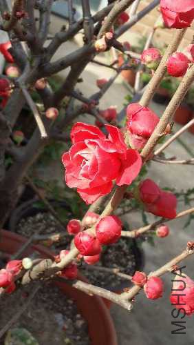 20160227_153718.jpg