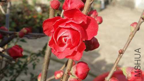 20160227_153708.jpg
