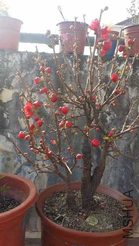 20160227_153317.jpg