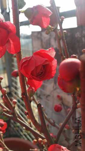 20160227_153306.jpg