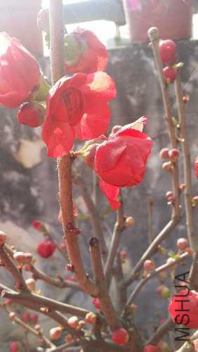 20160227_153255.jpg