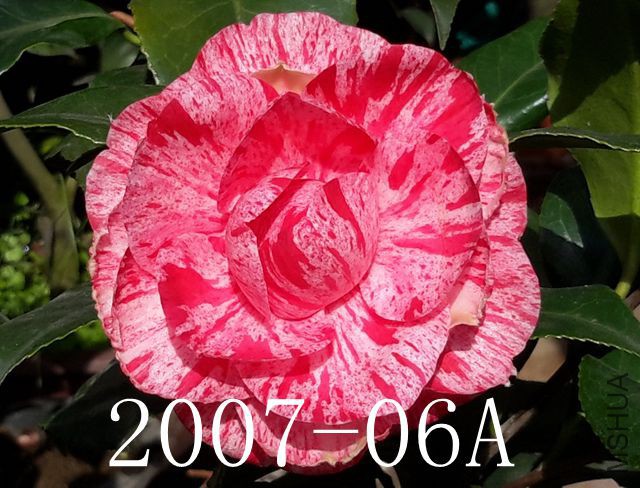 20160228_094220_����.jpg