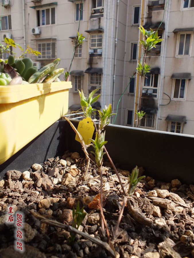 2016.2.28 001_����.jpg