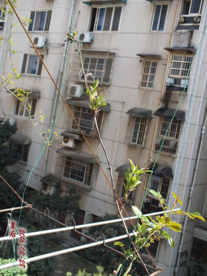 2016.2.28 002_����.jpg