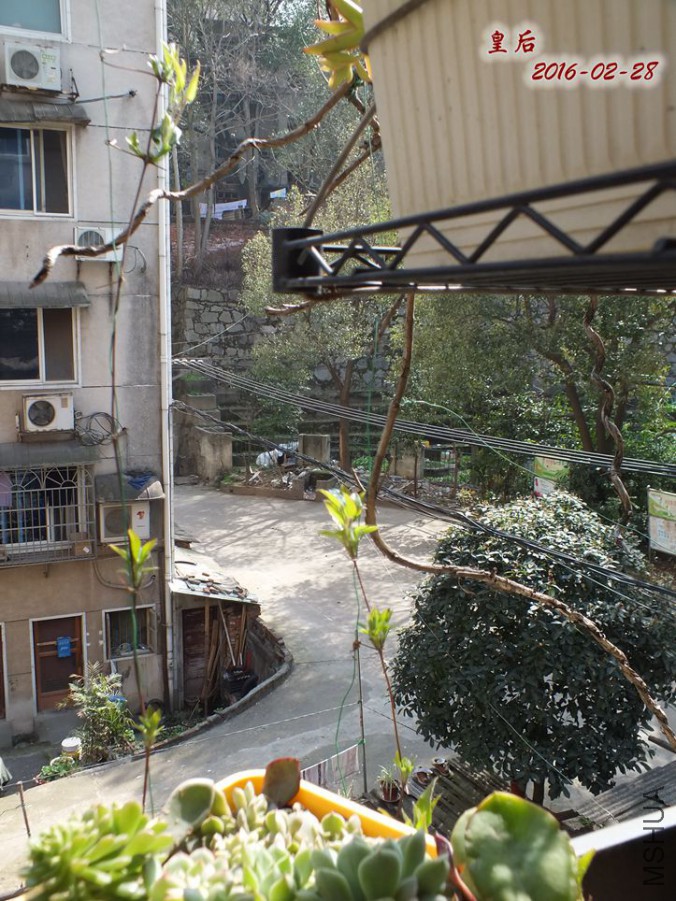 2016.2.28 003_����.jpg