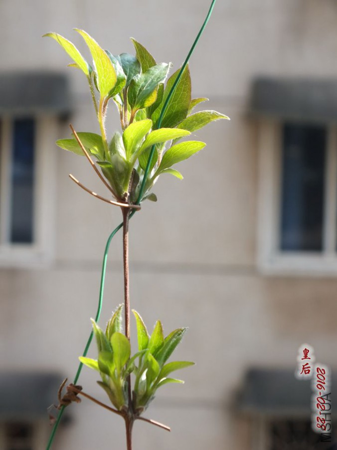 2016.2.28 004_����.jpg