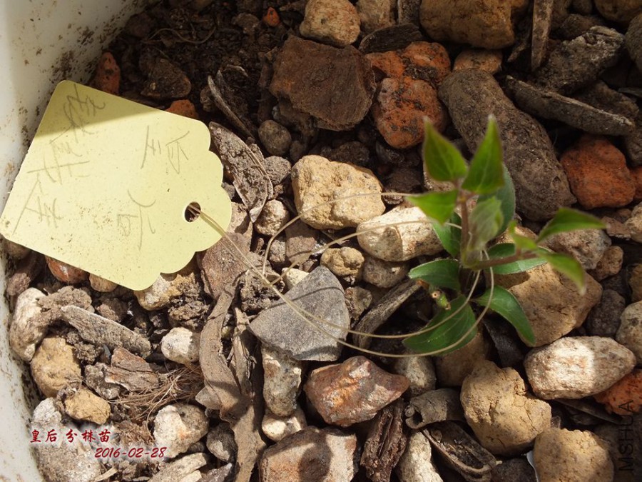 2016.2.28 007_����.jpg