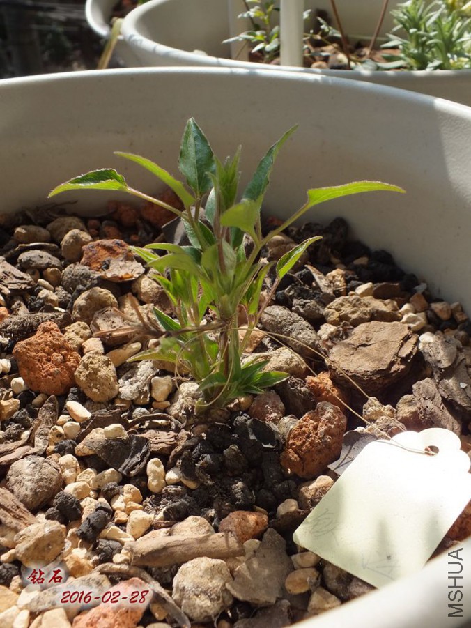 2016.2.28 009_����.jpg