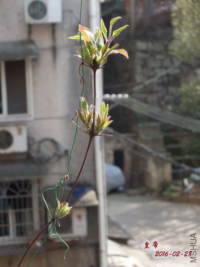 2016.2.28 010_����.jpg