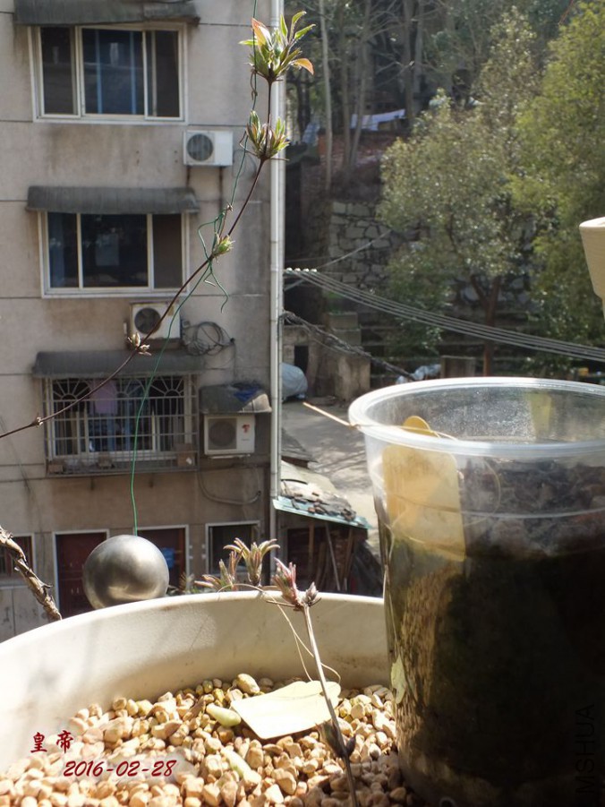 2016.2.28 011_����.jpg