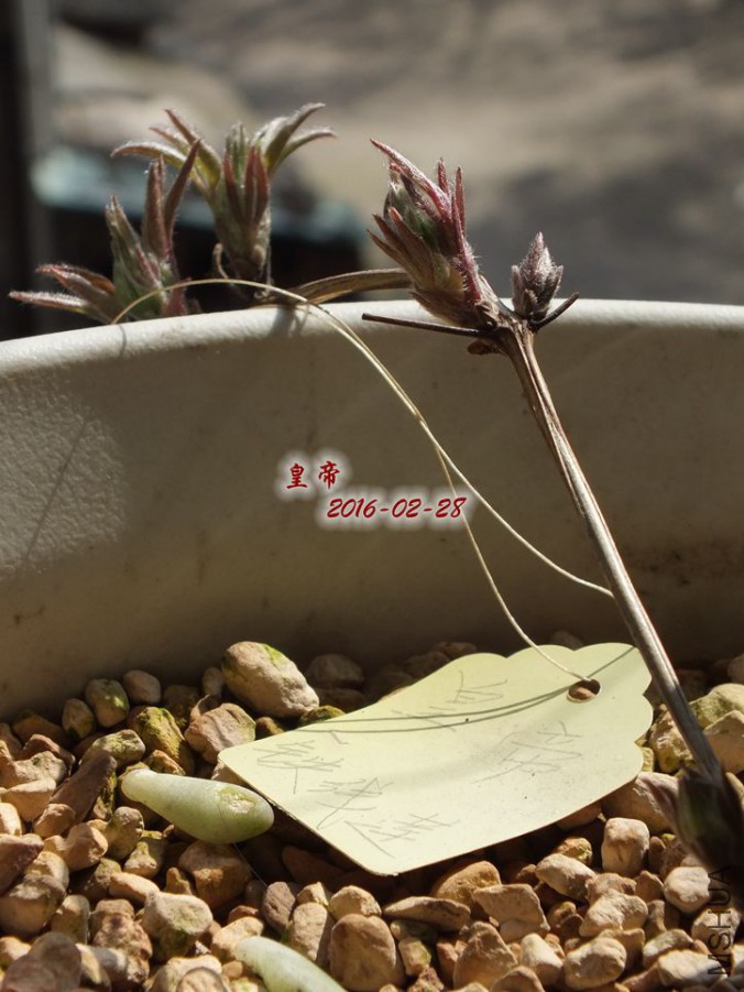 2016.2.28 012_����.jpg