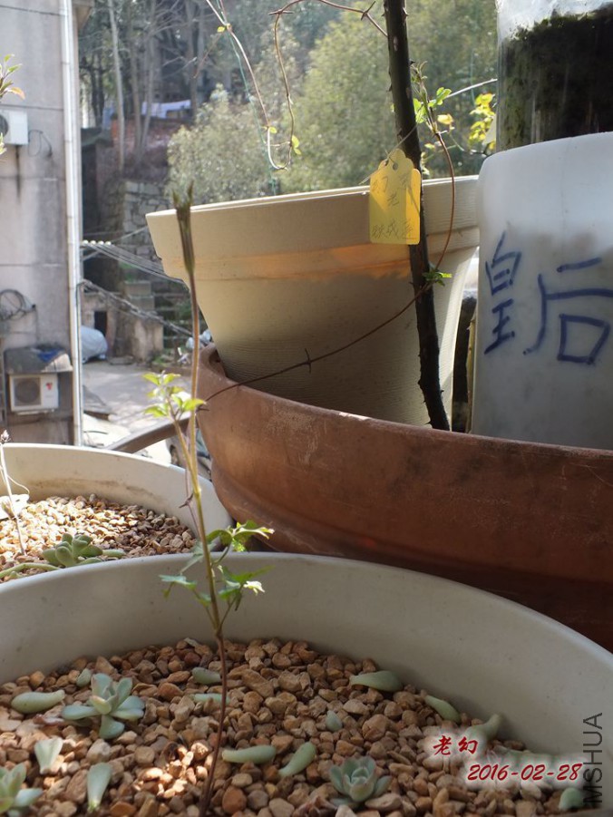 2016.2.28 014_����.jpg