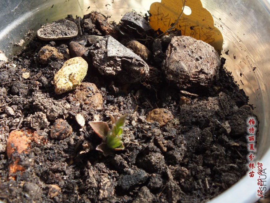 2016.2.28 016_����.jpg