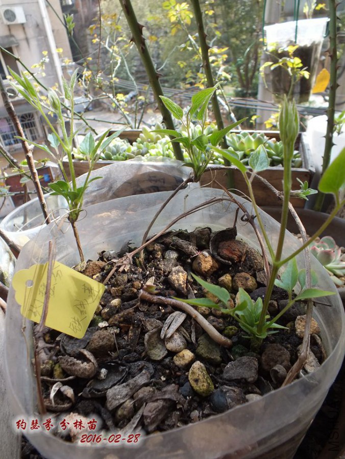 2016.2.28 019_����.jpg