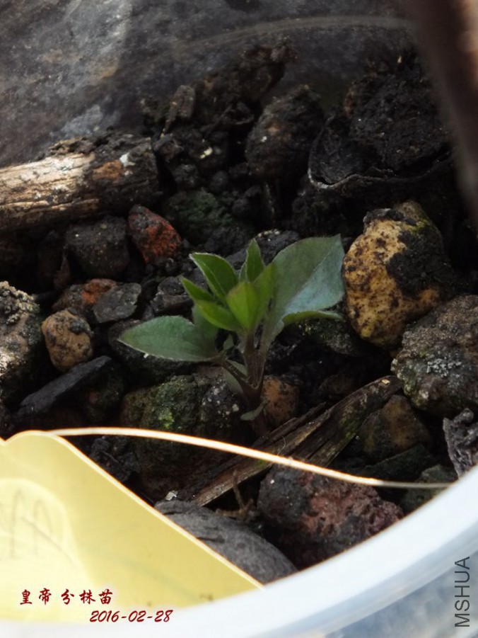 2016.2.28 020_����.jpg