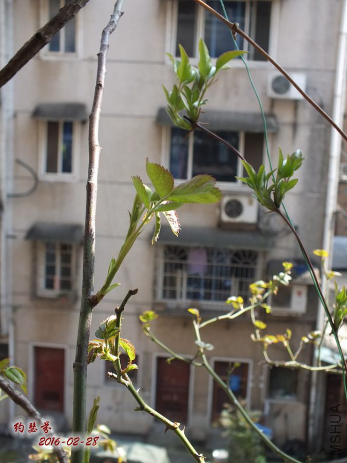 2016.2.28 021_����.jpg