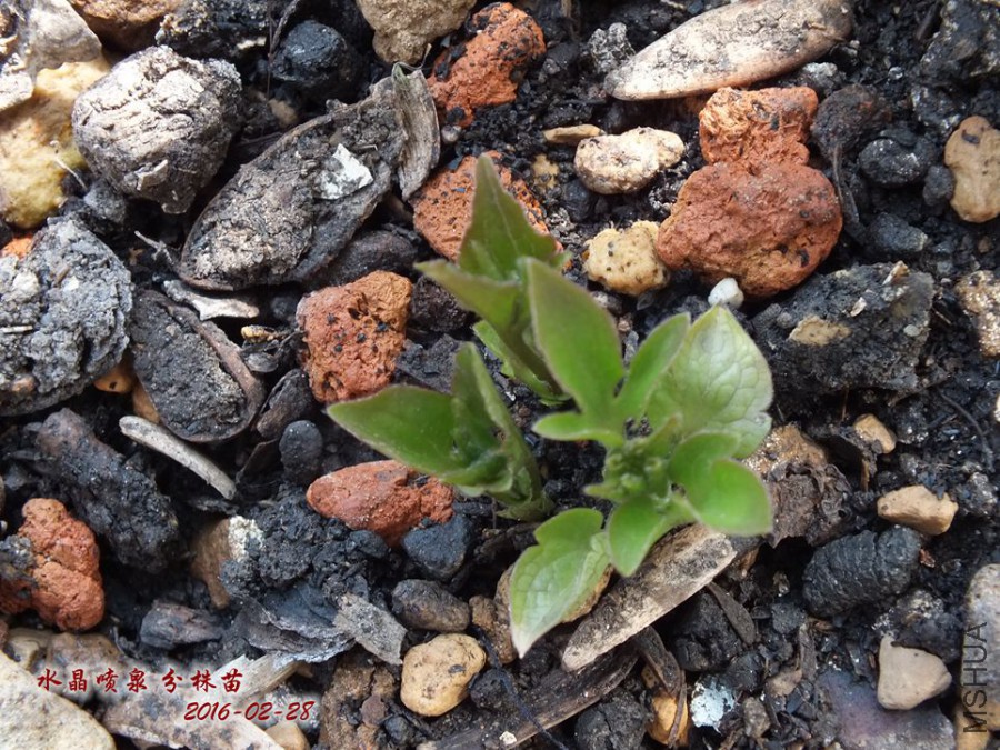 2016.2.28 022_����.jpg