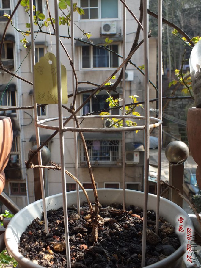 2016.2.28 023_����.jpg