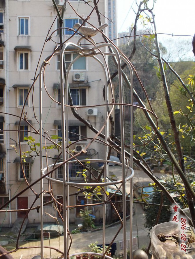 2016.2.28 024_����.jpg