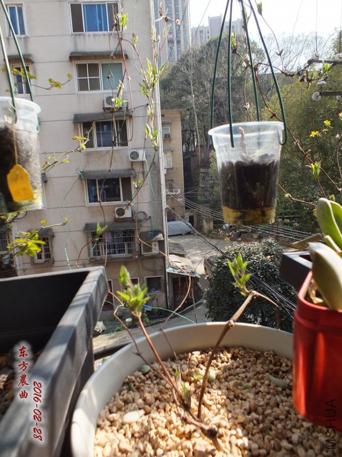 2016.2.28 025_����.jpg