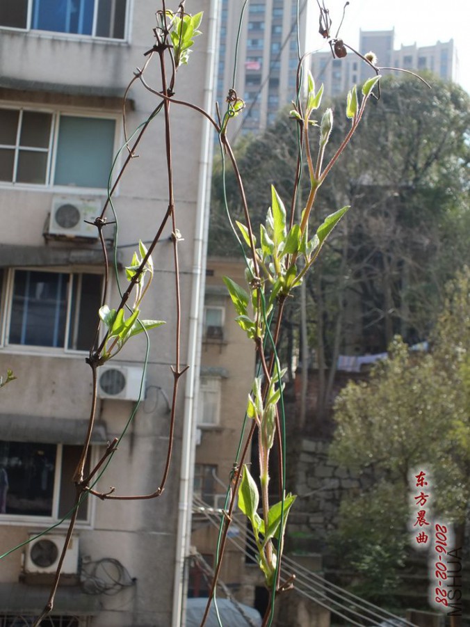 2016.2.28 026_����.jpg