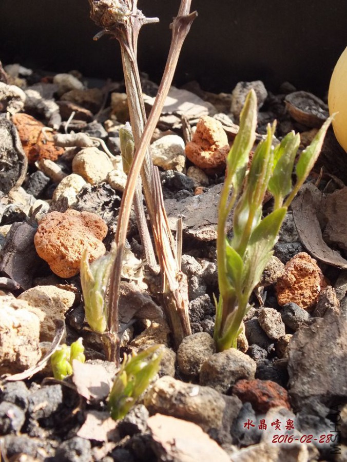 2016.2.28 030_����.jpg