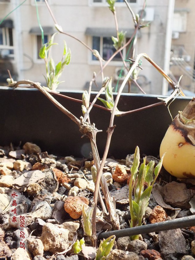 2016.2.28 032_����.jpg