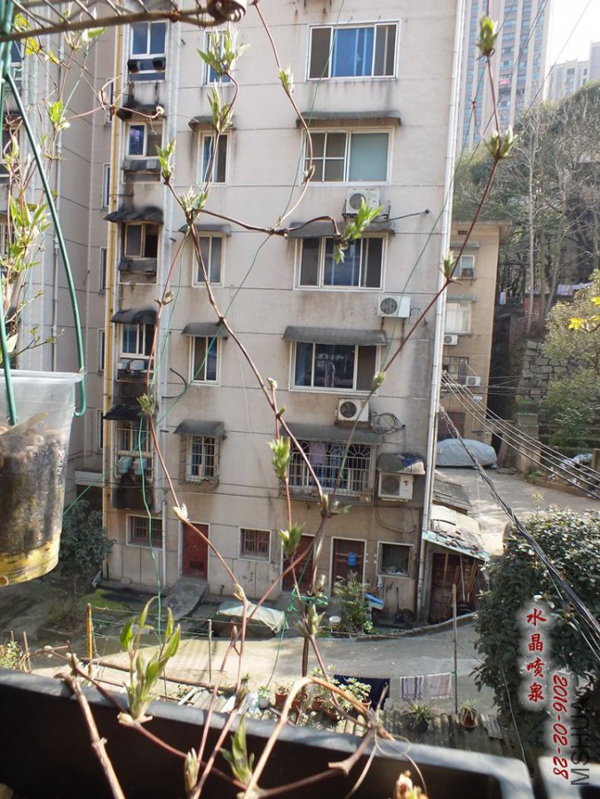 2016.2.28 033_����.jpg