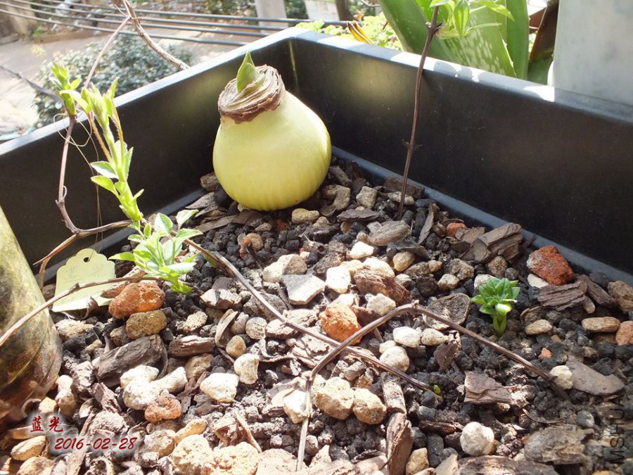 2016.2.28 034_����.jpg