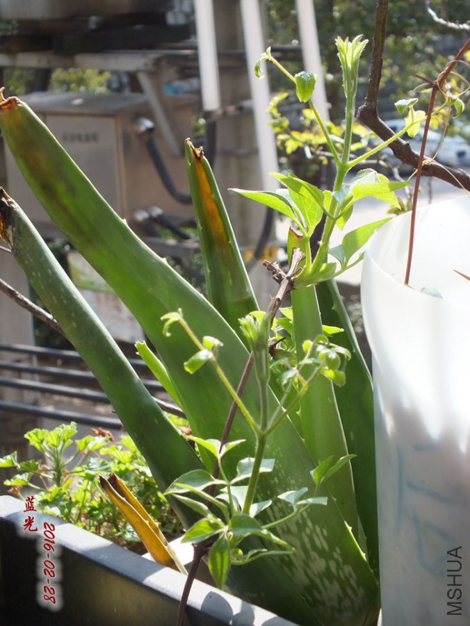 2016.2.28 035_����.jpg