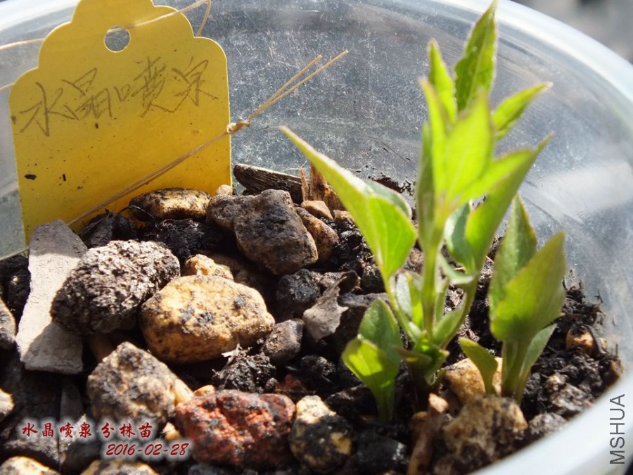 2016.2.28 036_����.jpg