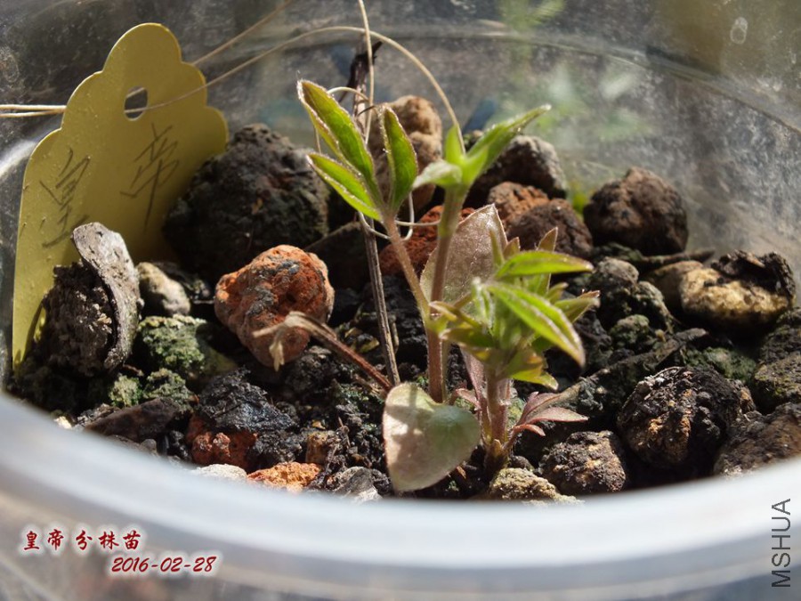 2016.2.28 038_����.jpg