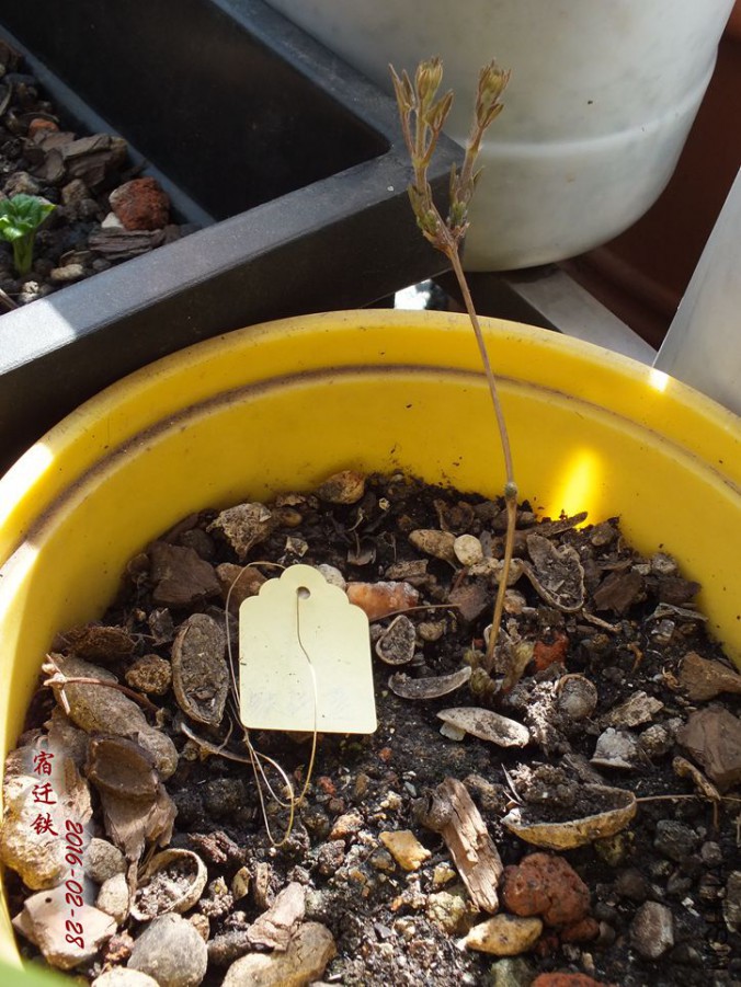 2016.2.28 039_����.jpg