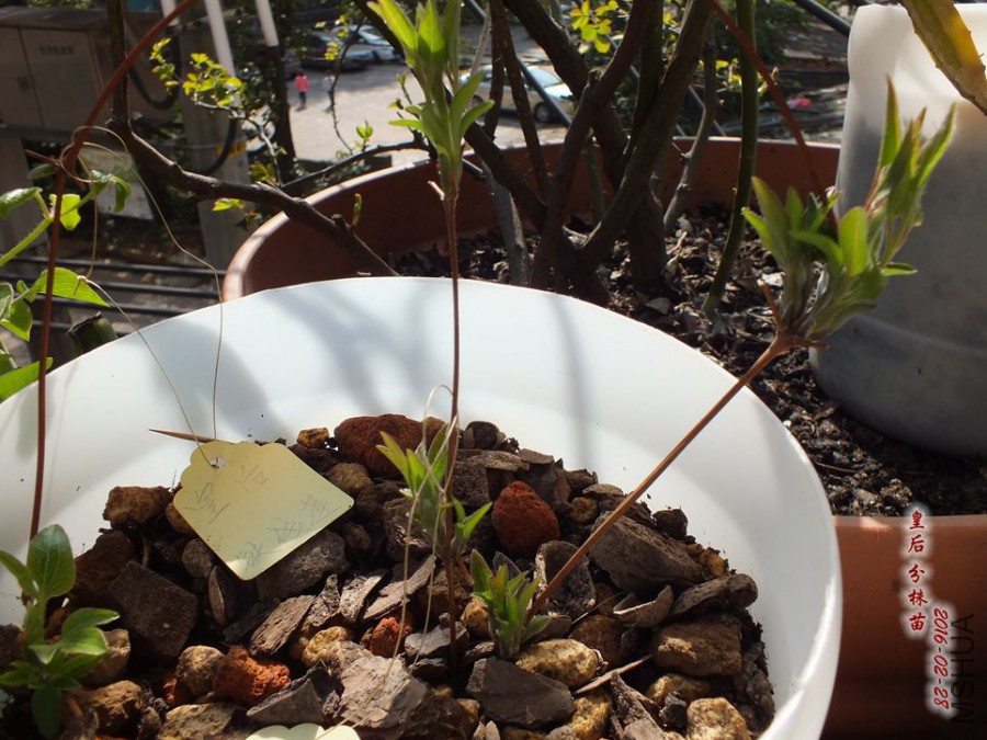 2016.2.28 040_����.jpg