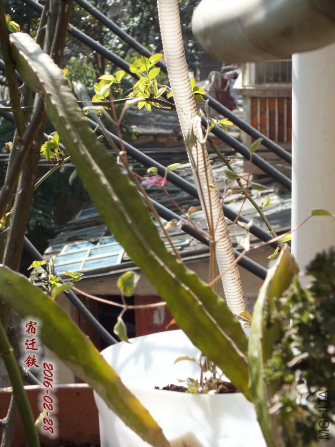 2016.2.28 043_����.jpg