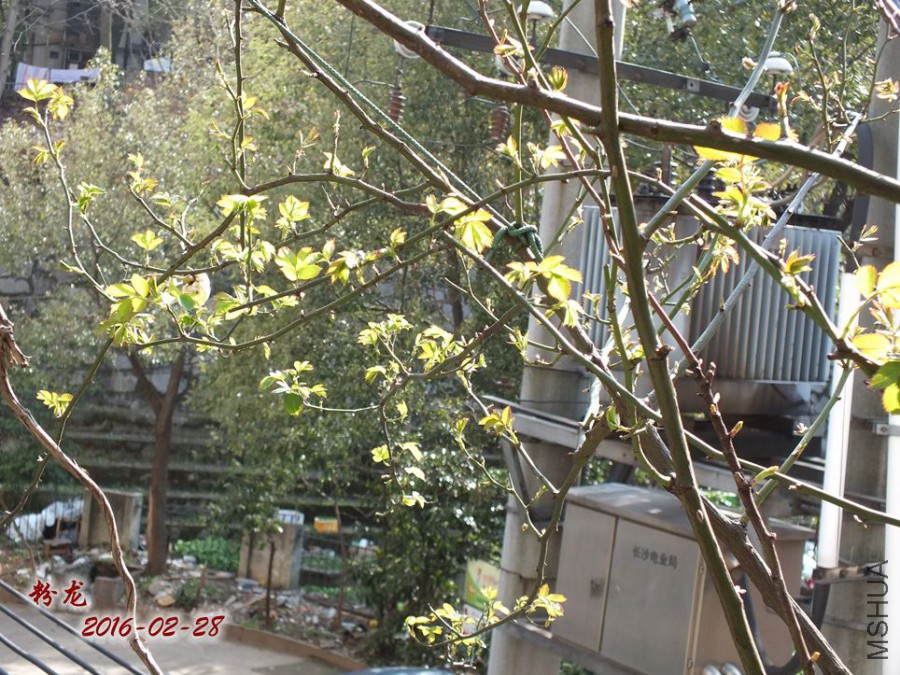 2016.2.28 044_����.jpg